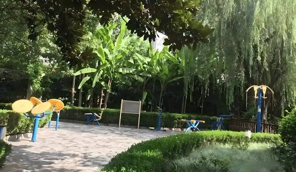 水戏